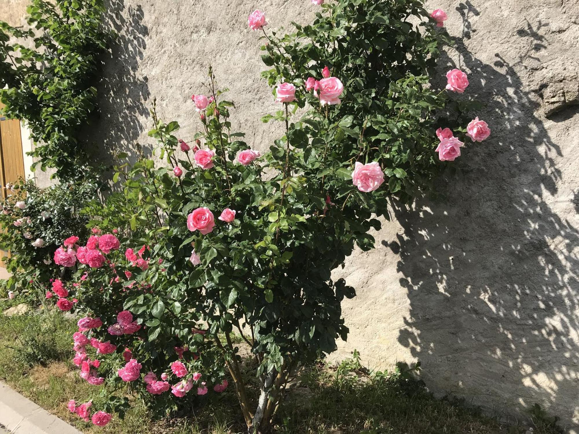 Gite Renove Avec Jardin, Proche Loisirs Et Commerces, A Une Heure De Nancy Et Metz - Fr-1-584-168 Autrepierre Esterno foto